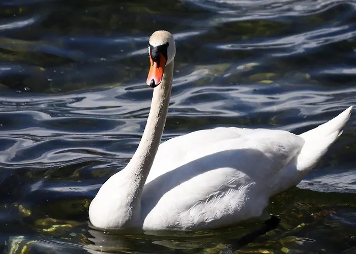 Casa Maria Apartamento